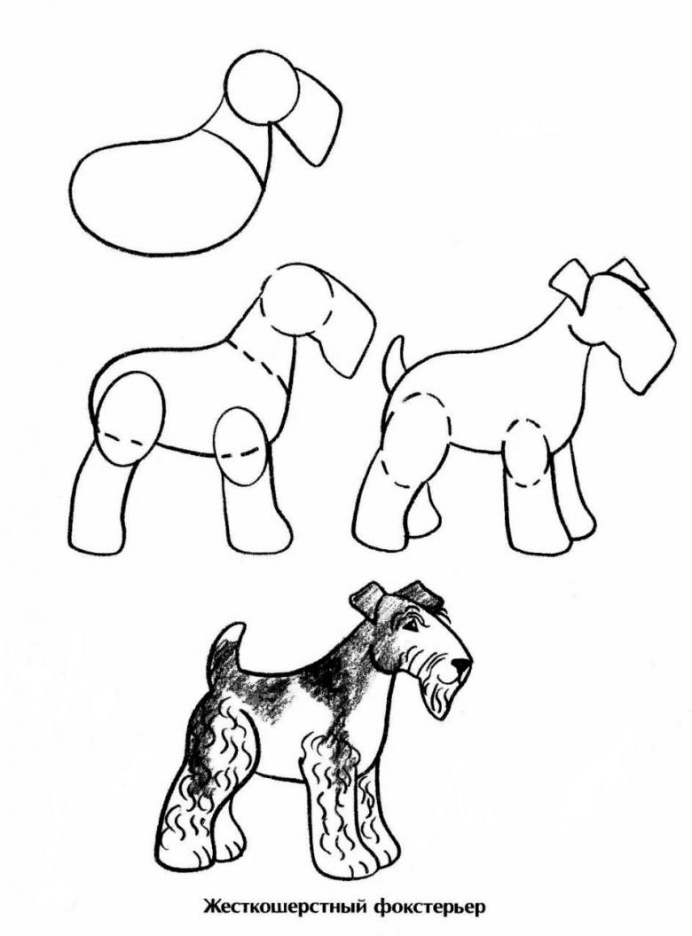 собака нарисовать легко ребенку карандашом поэтапно 6