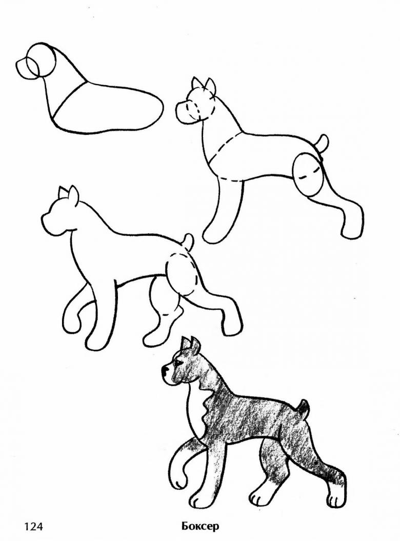 Как нарисовать собаку поэтапно для детей карандашом 2
