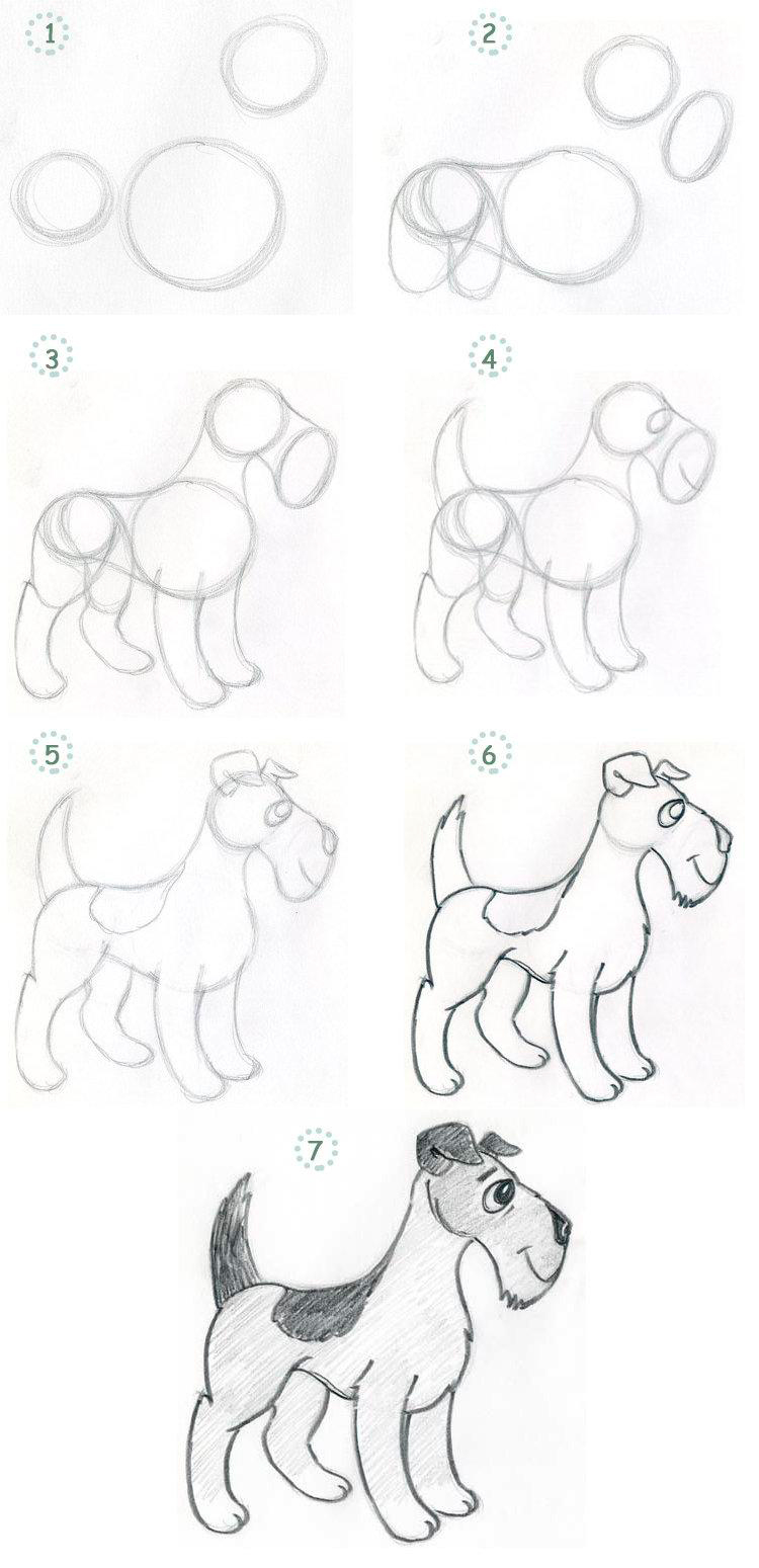 собака нарисовать легко ребенку карандашом поэтапно 10