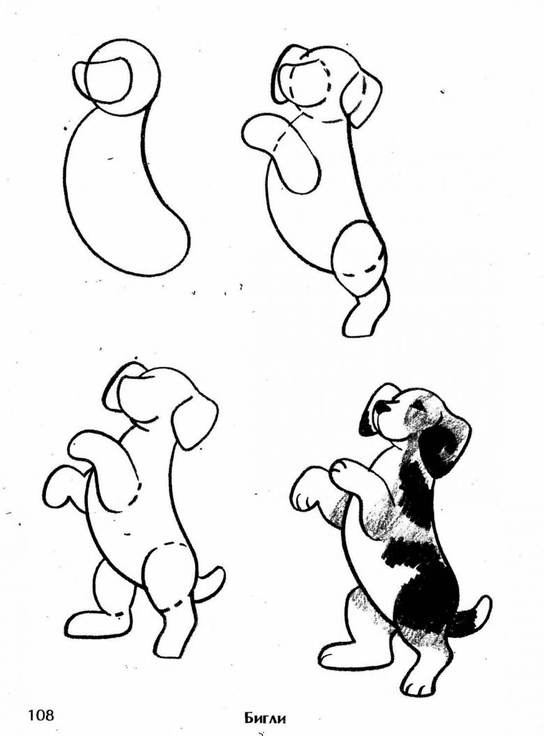 Как нарисовать собаку поэтапно для детей карандашом 5