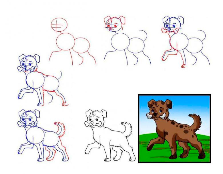 Как нарисовать собаку поэтапно для детей карандашом 7