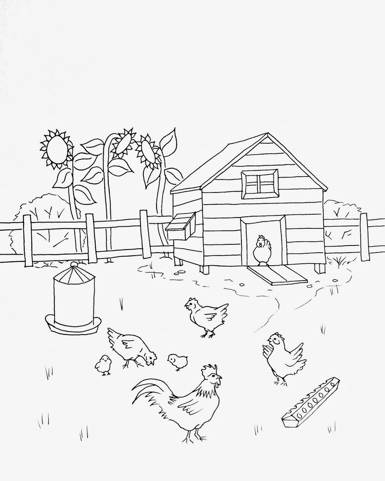 Птичий двор раскраска для детей
