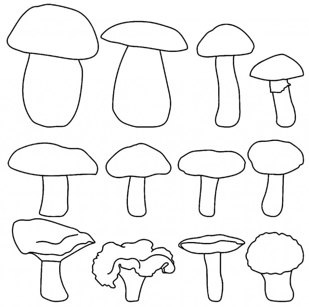 аппликация из цветной бумаги грибы 9