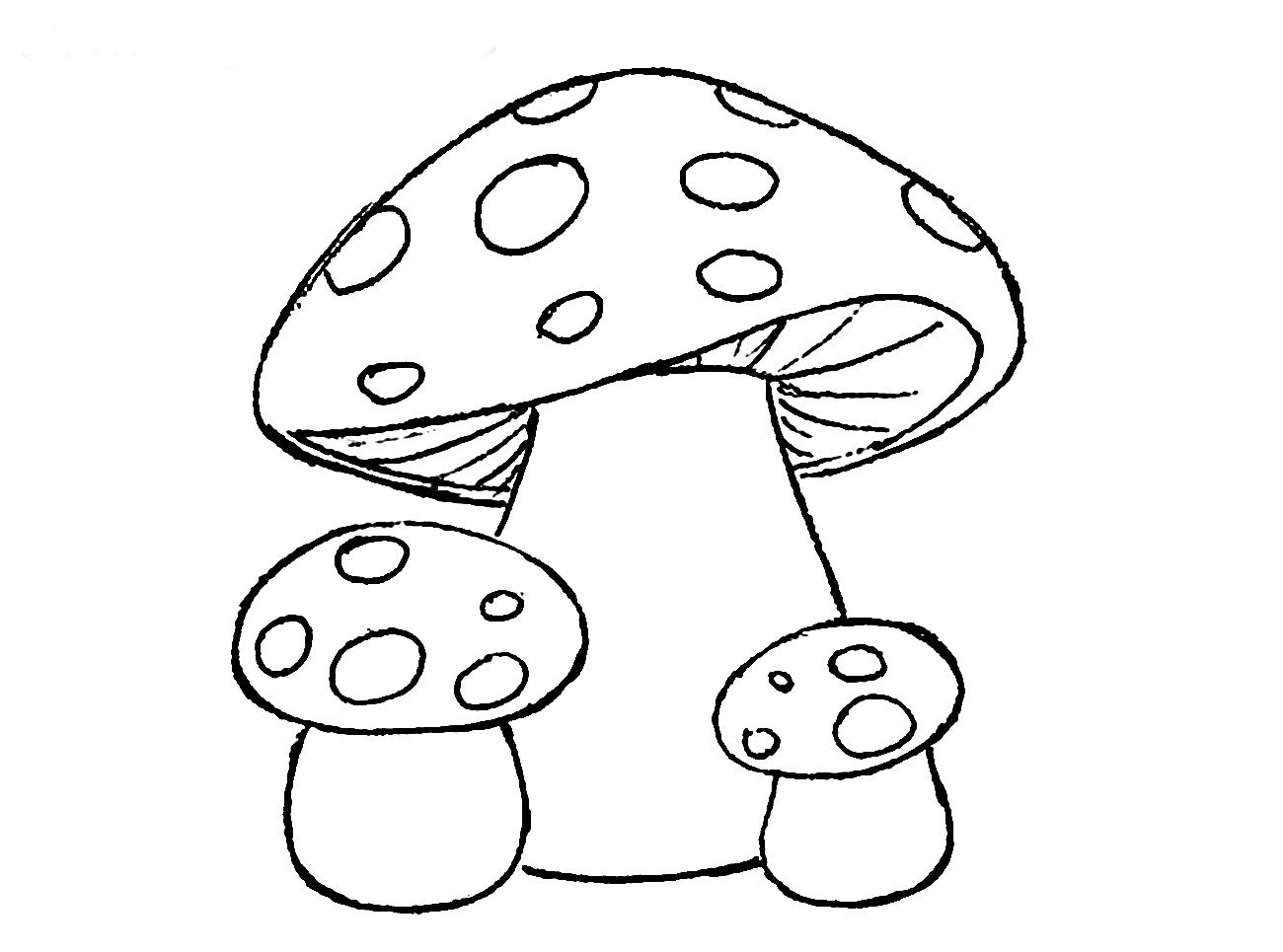 4 гриба картинки для детей