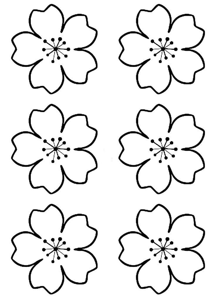 аппликация весенние цветы из цветной бумаги средняя группа шаблоны 8