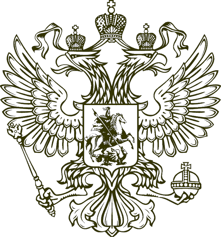 Раскраски Герб и флаг России 9