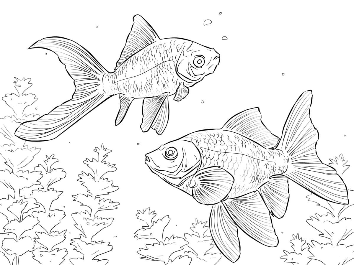 раскраска рыбки в аквариуме для детей 3-4 лет распечатать 8