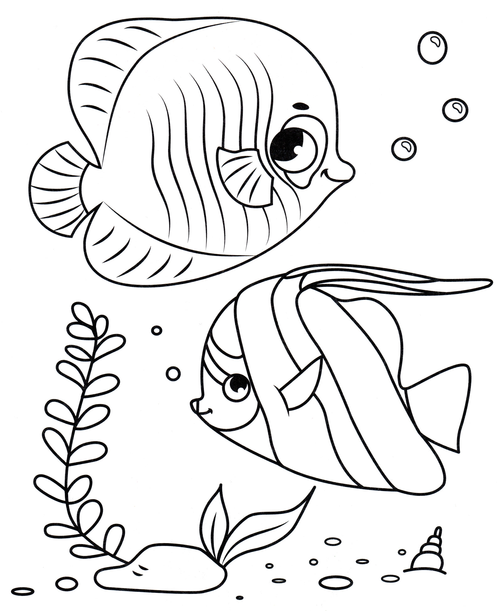 раскраска аквариумные рыбки средняя группа 6