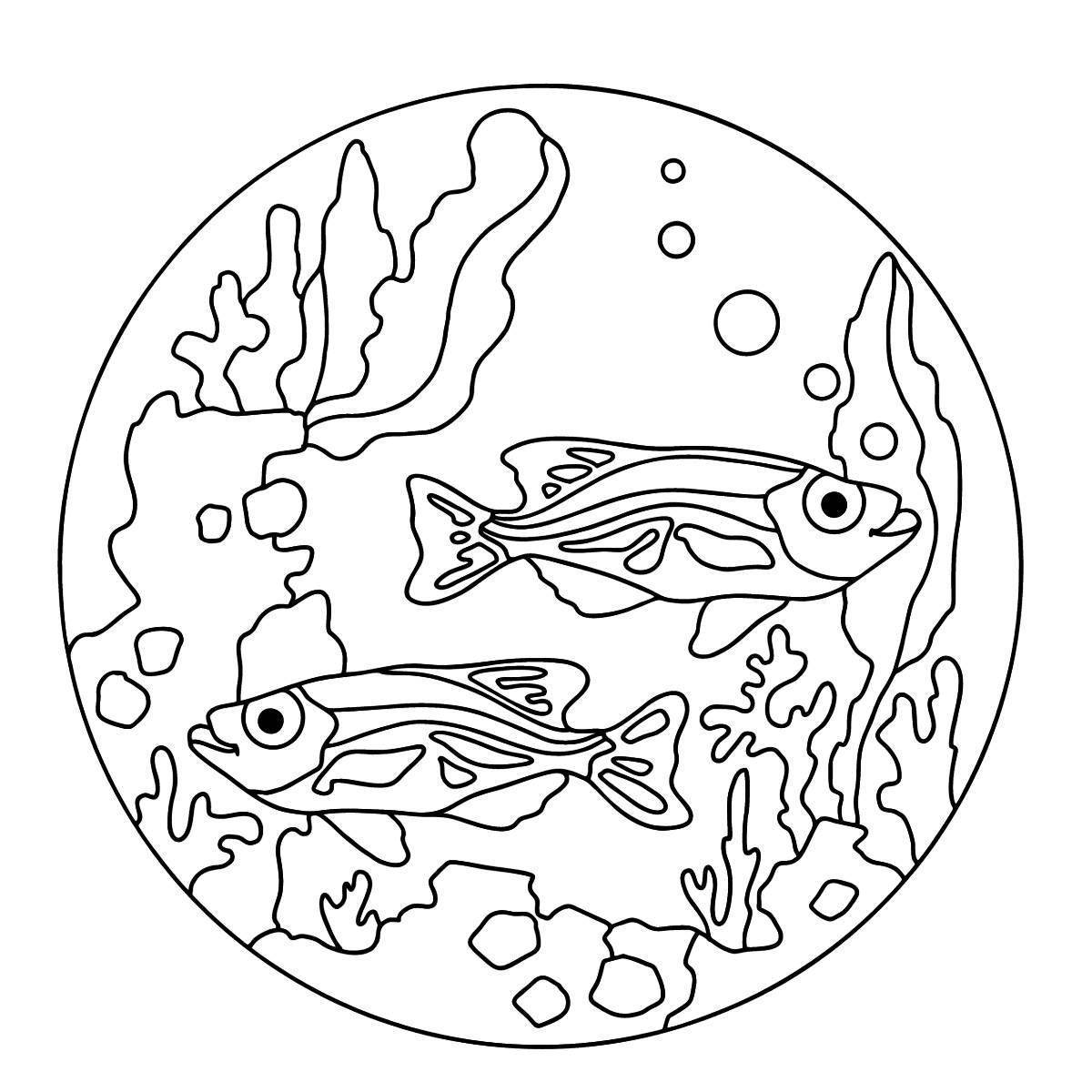простые раскраска аквариумные рыбки для детей 9