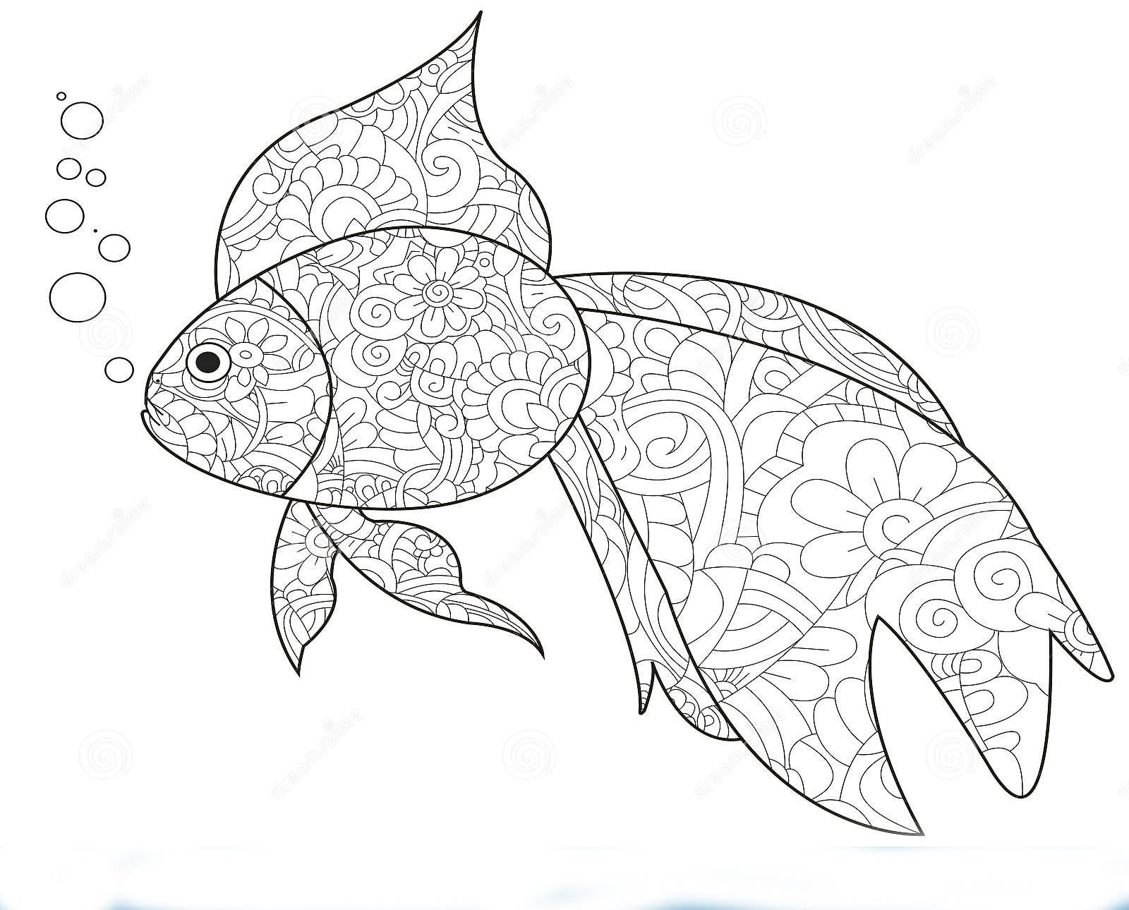 раскраска аквариумные рыбки 4