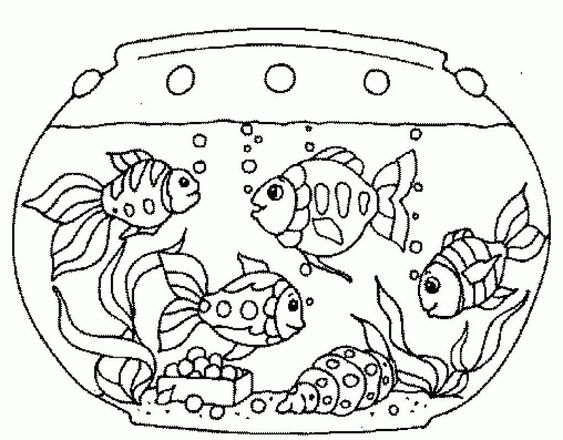 раскраска аквариумные рыбки для детей 5-6 лет 2