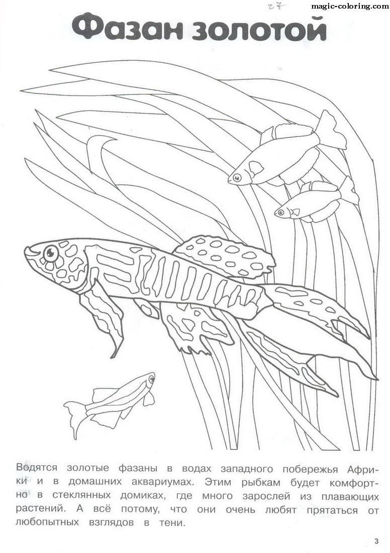 раскраска рыбки в аквариуме для детей 3-4 лет распечатать 10