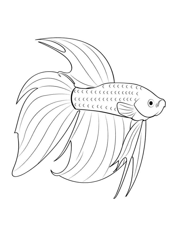 раскраска аквариумные рыбки для детей 9
