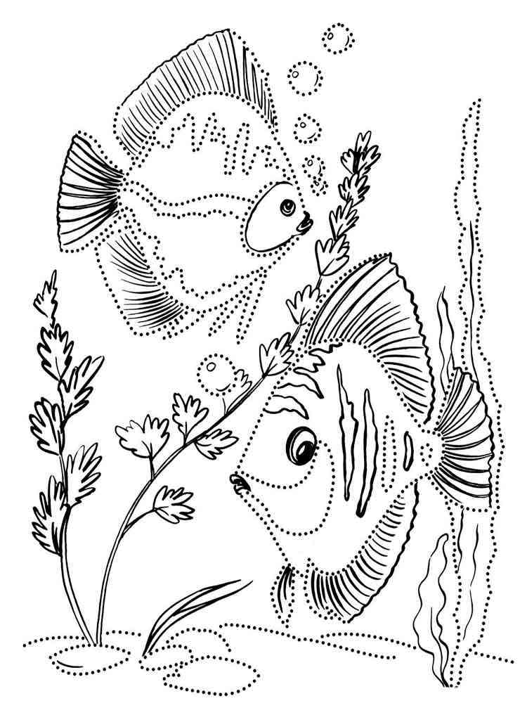простые раскраска аквариумные рыбки для детей 10