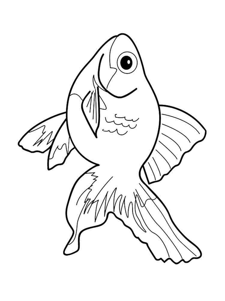 раскраска аквариумные рыбки для детей 7
