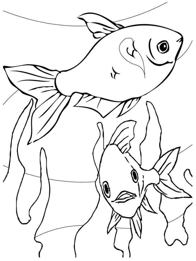 простые раскраска аквариумные рыбки для детей 7-8 лет 4