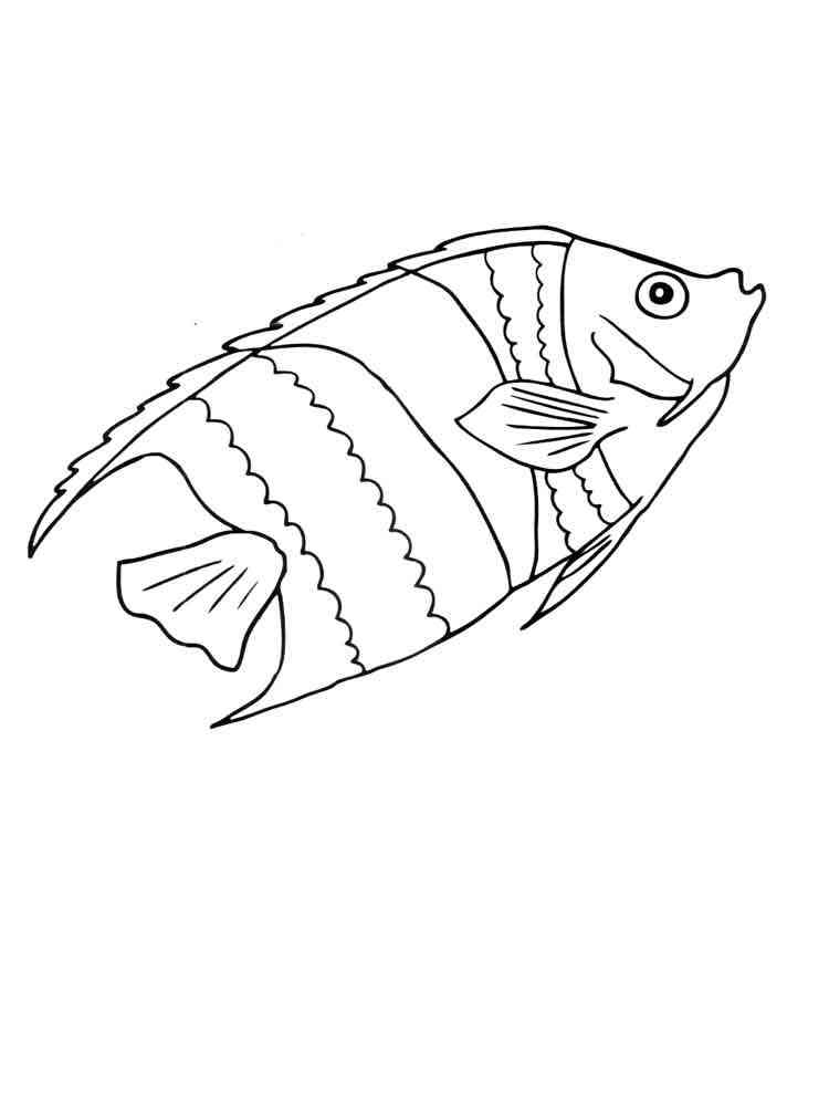 простые раскраска аквариумные рыбки для детей 7-8 лет 6