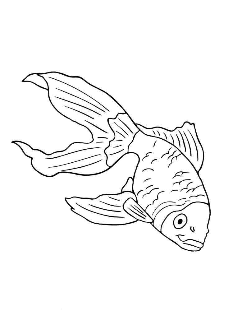 раскраска аквариумные рыбки для детей