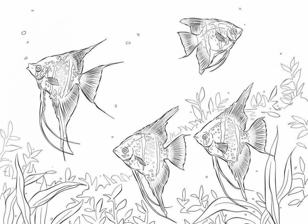 аквариумные рыбки раскраски для детей распечатать 10