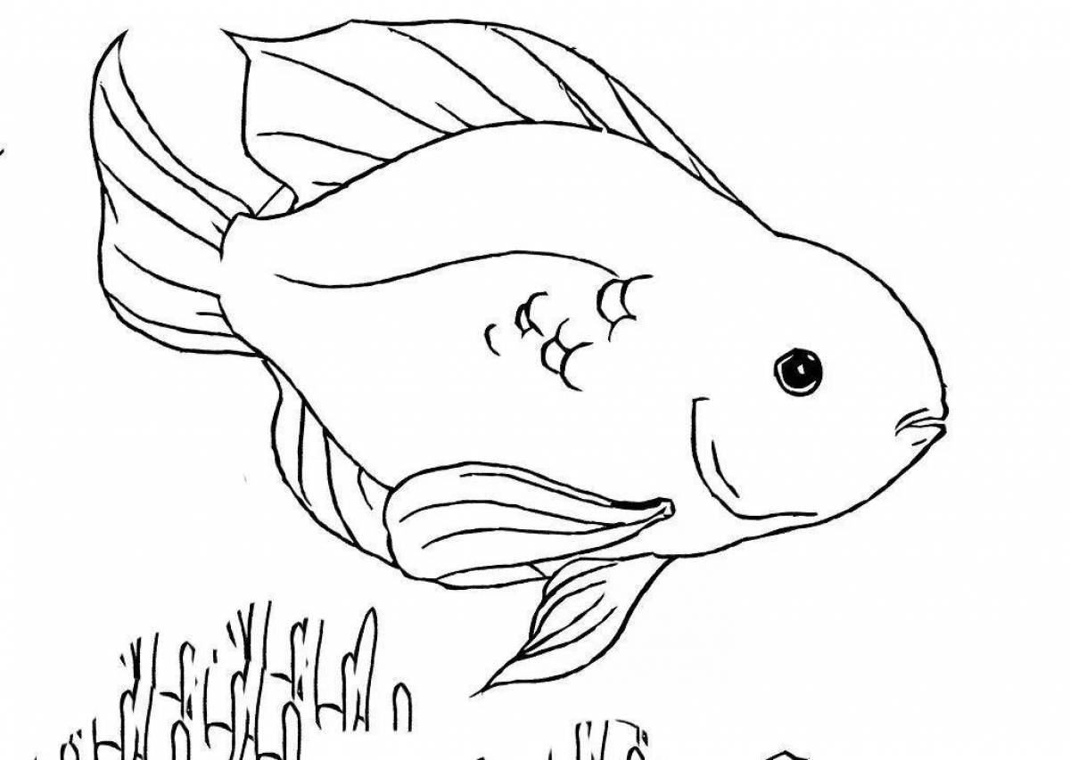 аквариумные рыбки раскраски для детей распечатать 6