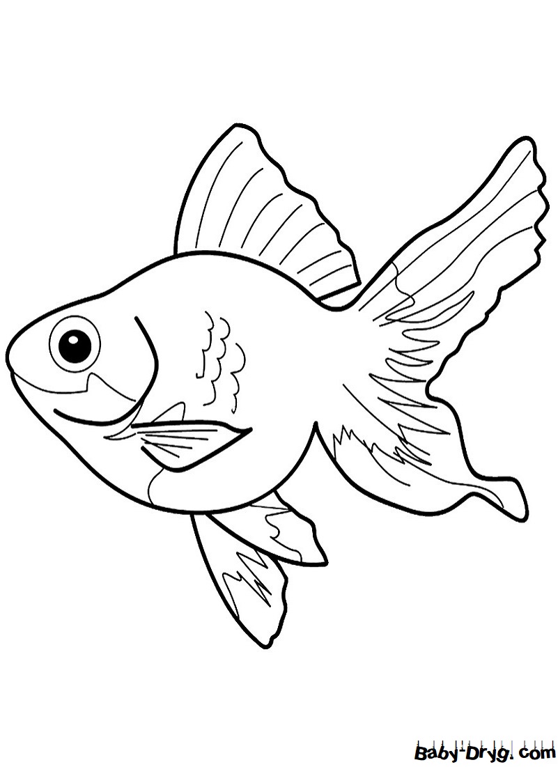 раскраска рыбки в аквариуме для детей 3-4 лет распечатать 5