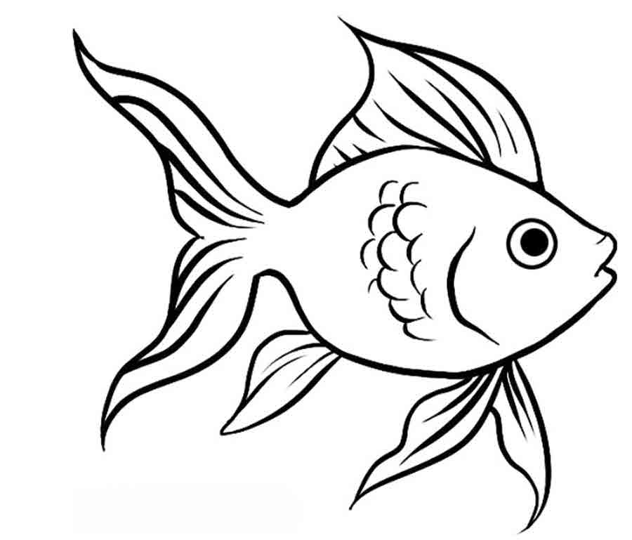 раскраска аквариумные рыбки для детей 5-6 лет 6