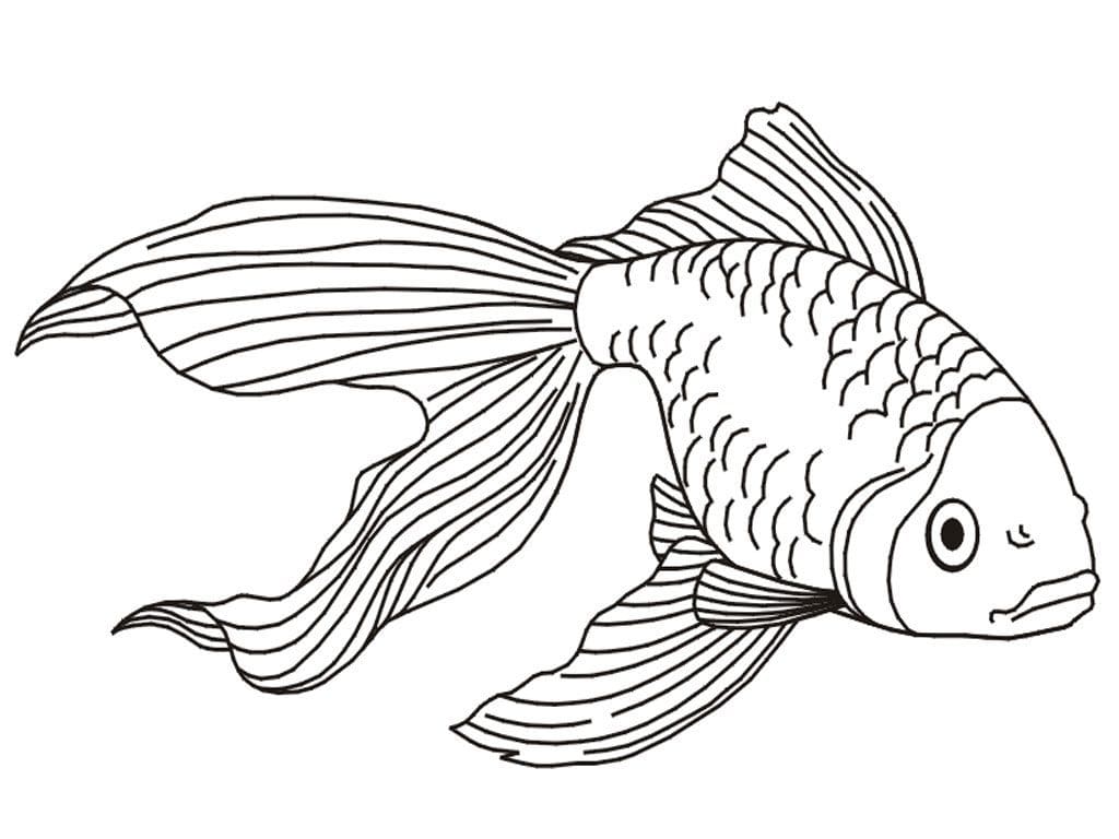 раскраска рыбки в аквариуме для детей 3-4 лет распечатать 6