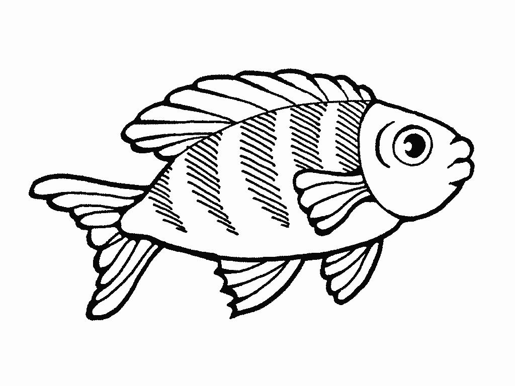 раскраска рыбки в аквариуме для детей 3-4 лет распечатать 10