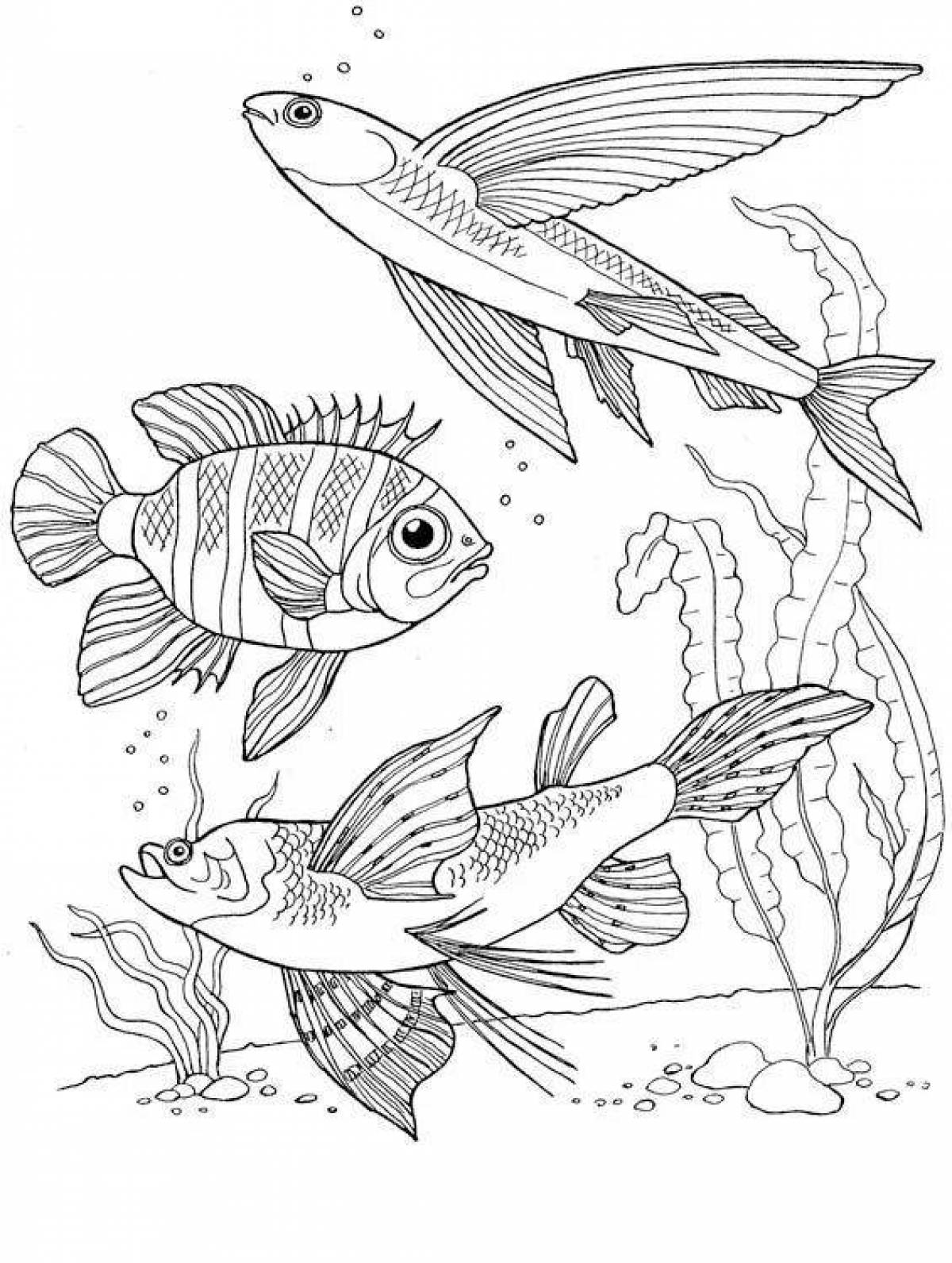 аквариумные рыбки раскраски для детей распечатать 5