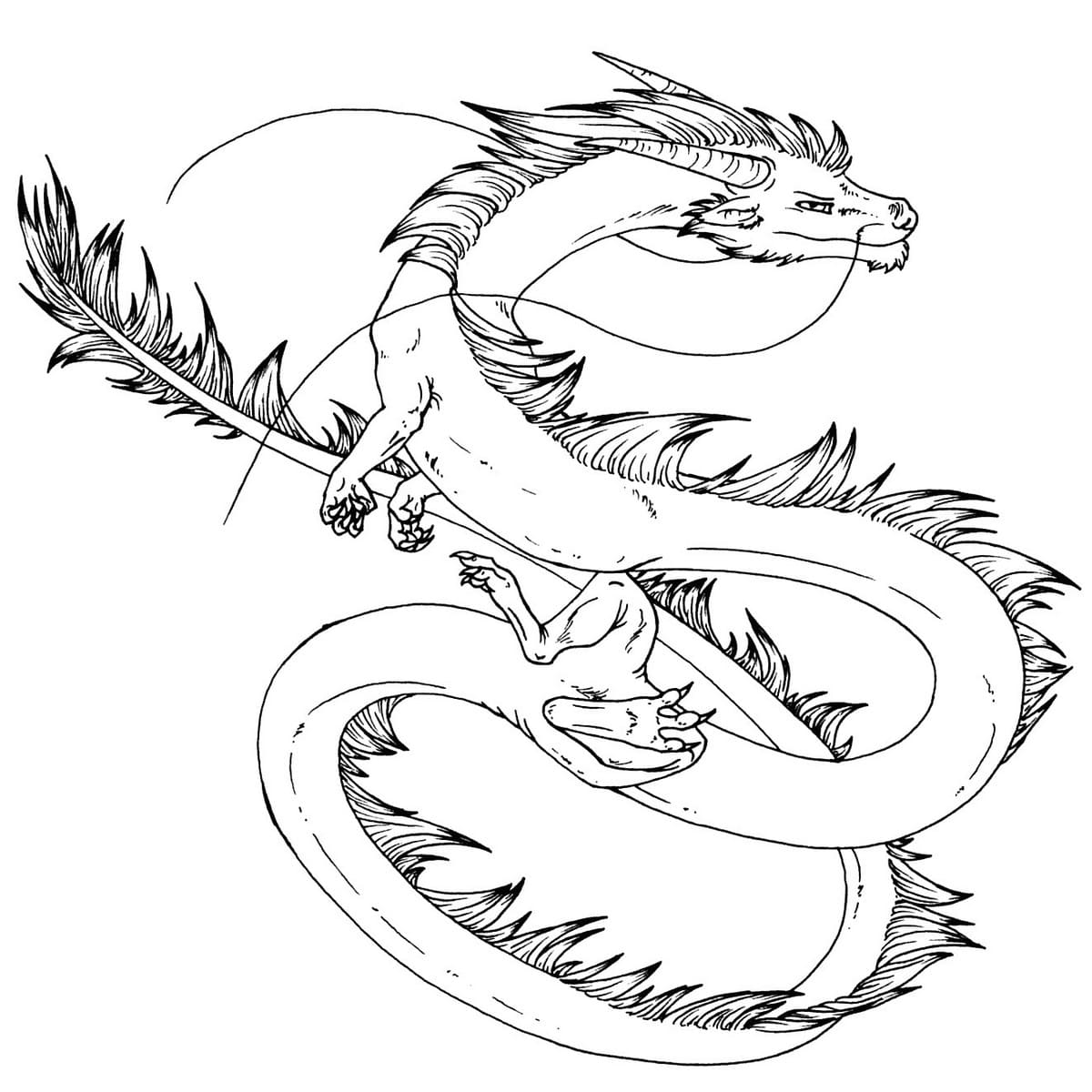 раскраска для детей дракон беззубик 2