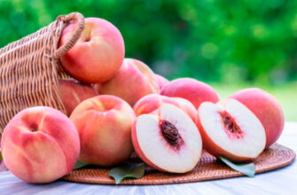 правда ли что персики способствуют молодости кожи