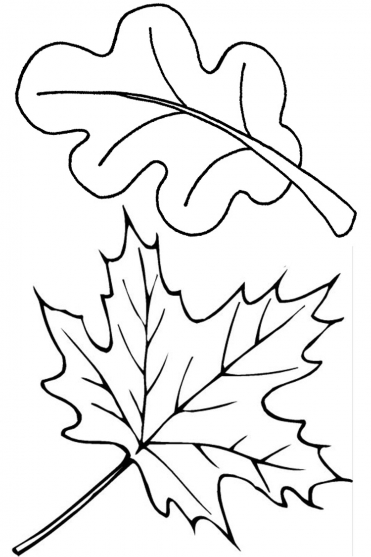 Осенние листья раскраска для детей 7