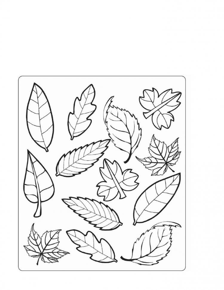 осенние листья раскраска для детей