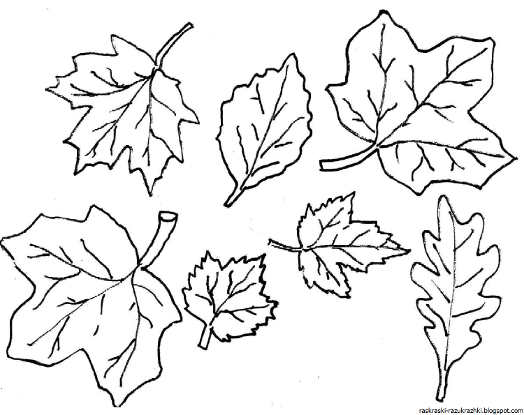 листья раскраска для детей 3-4 лет в детском саду 7