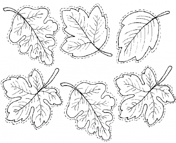 Осенние листья раскраска для детей 10