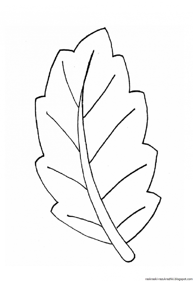 осенние листья раскраска для детей 9