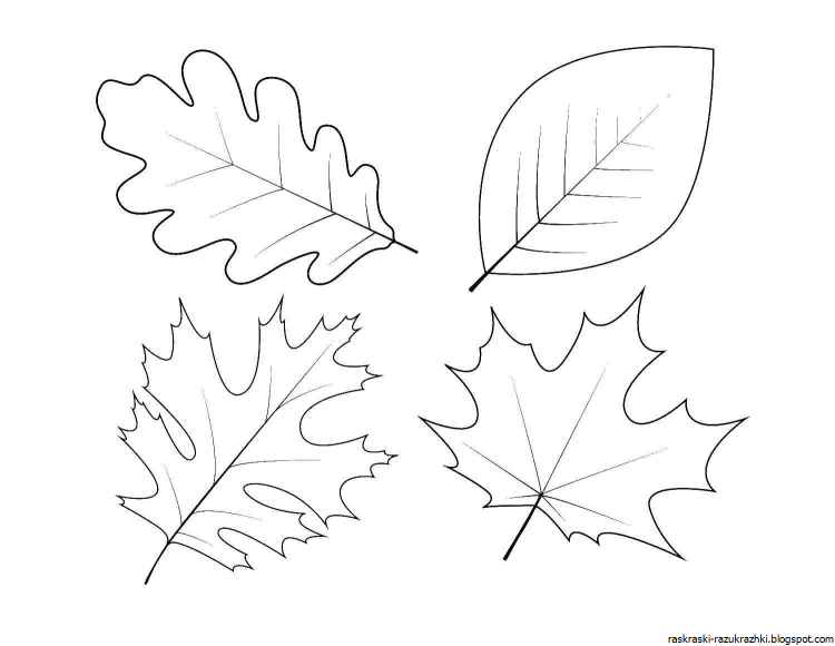 осенние листья раскраска для детей 8