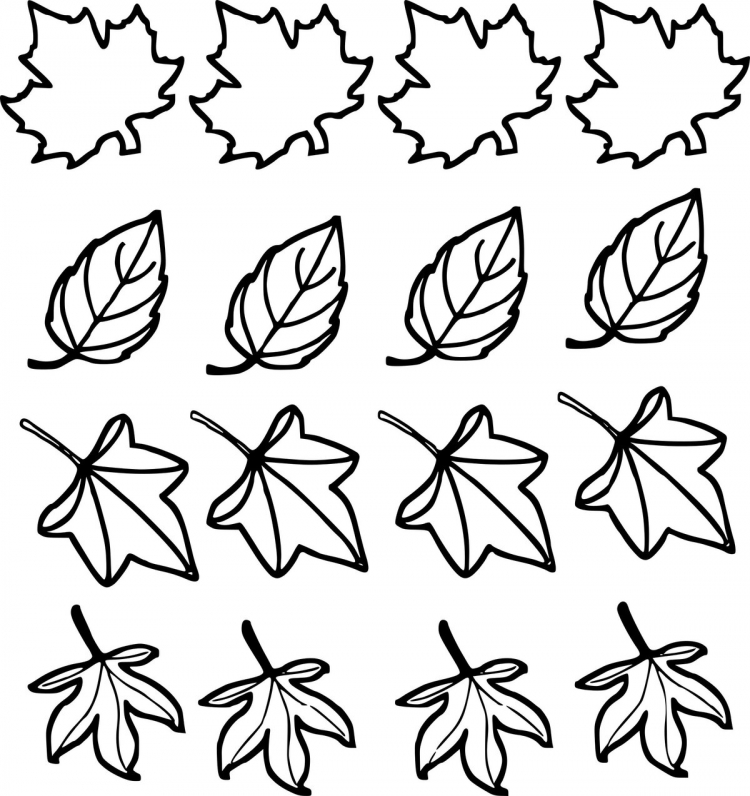 листья раскраска для детей 3-4 лет в детском саду 6