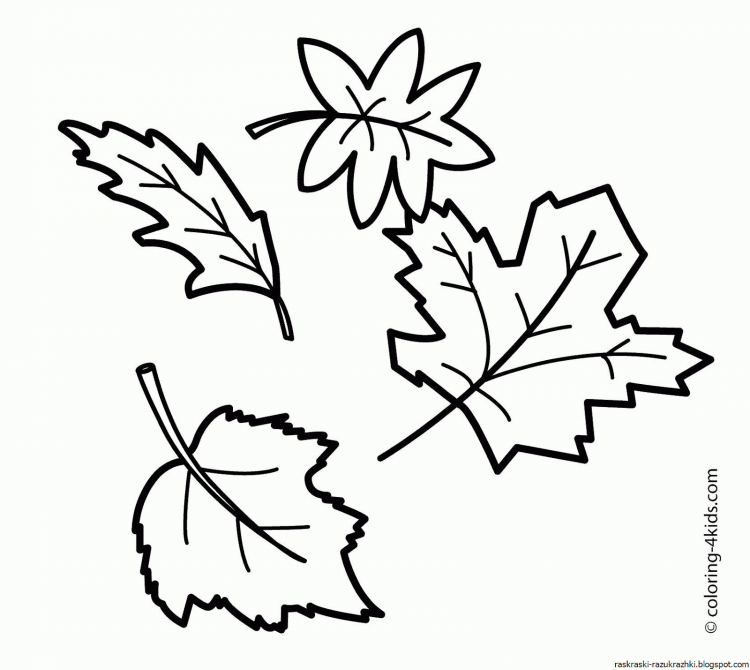 Осенние листья раскраска для детей 4