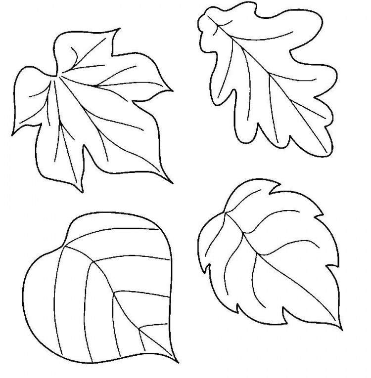 осенние листья раскраска для детей 4