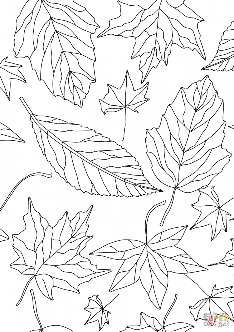 осенние листья распечатать раскраска 7