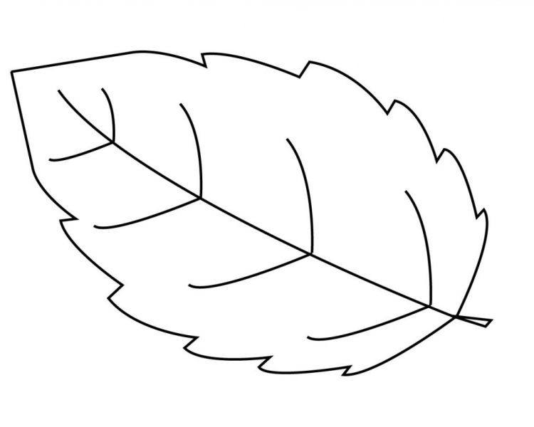 осенние листья распечатать раскраска 6