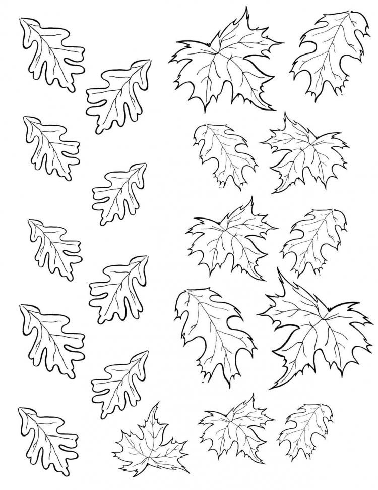 осенние листья распечатать раскраска 4