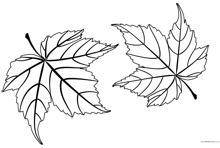 осенние листья распечатать раскраска 3