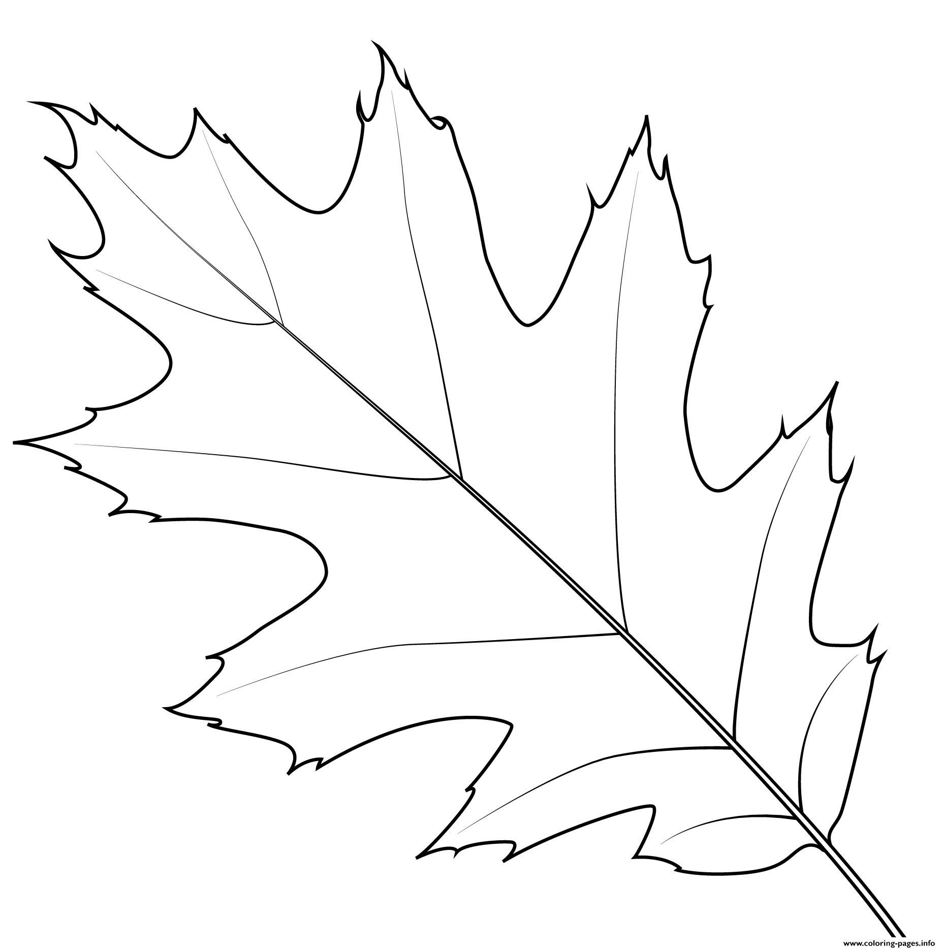 осенние листья раскраска для детей распечатать шаблоны 9
