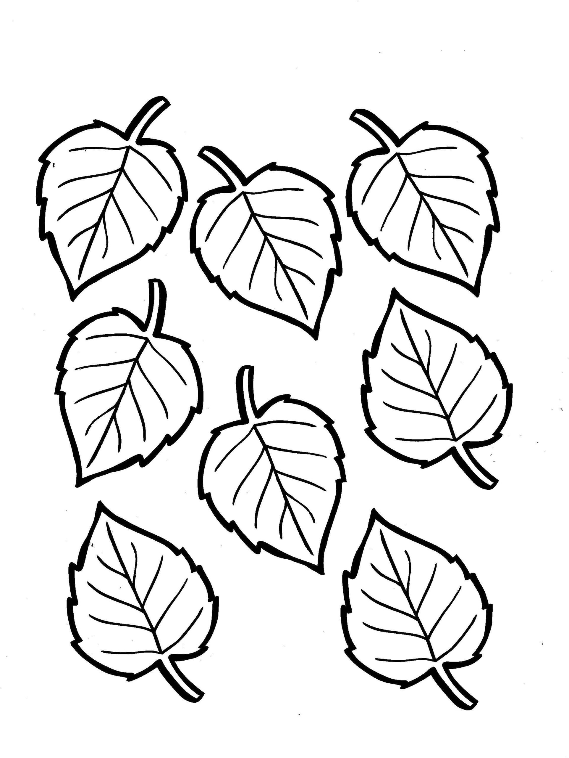 осенние листья для раскраски и вырезания 8