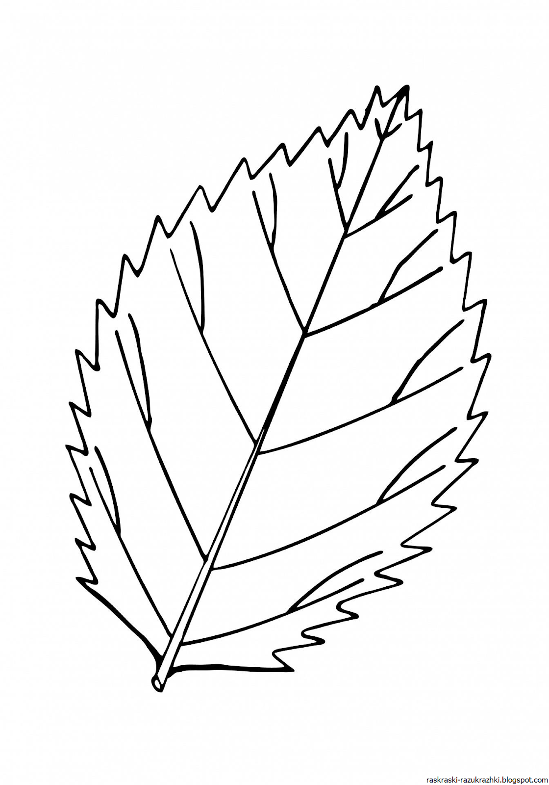 осенние листья для раскраски и вырезания 10
