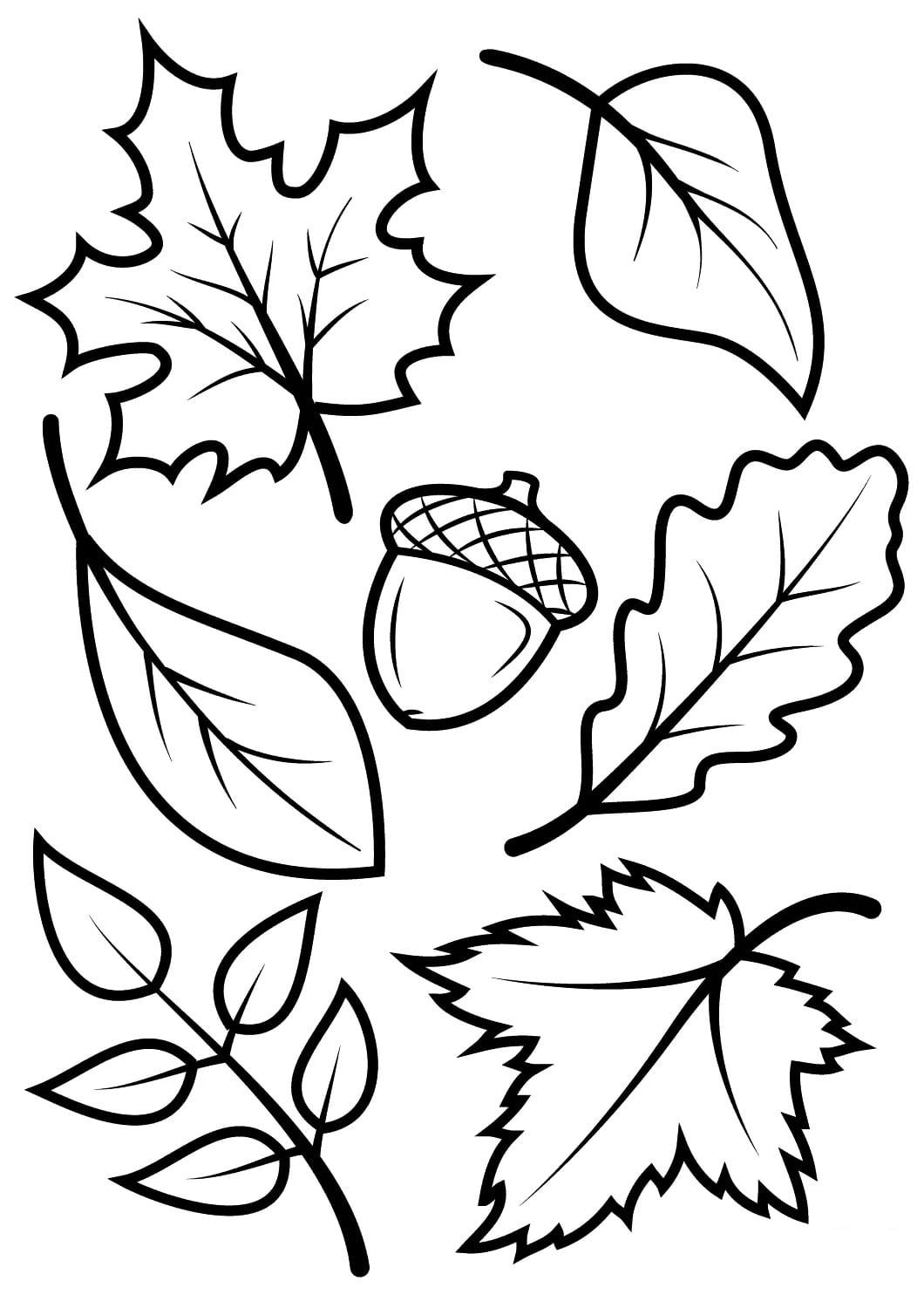 листья раскраска для детей 3