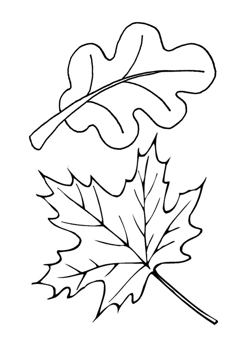 листья раскраска для детей 5