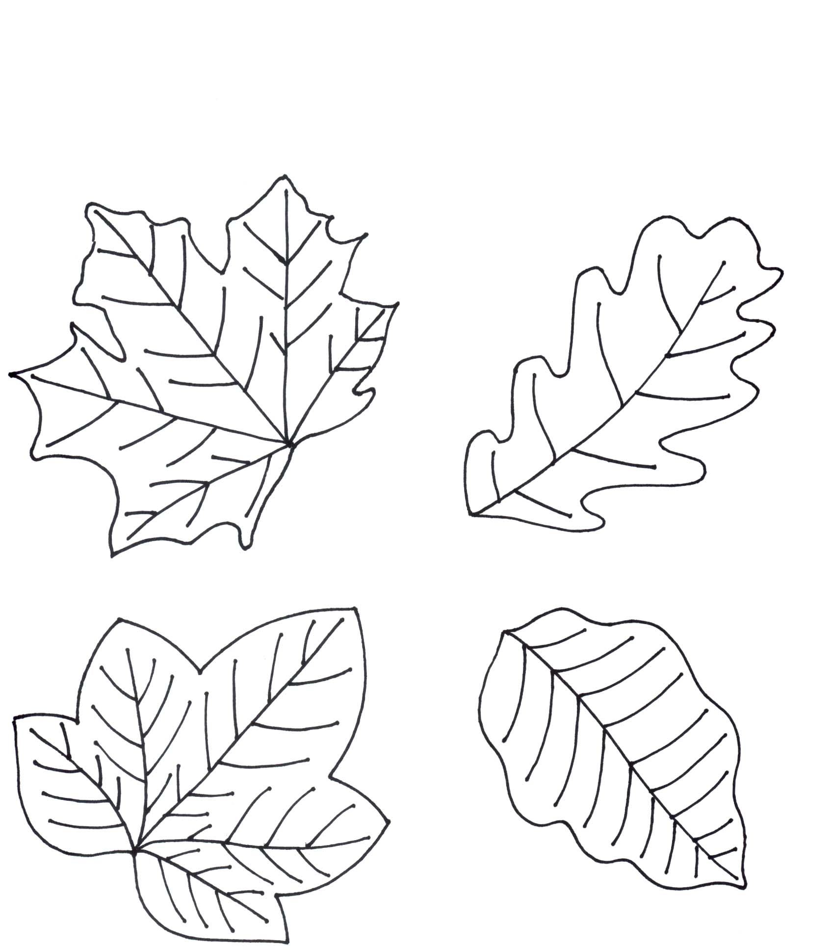 листья раскраска для детей 10